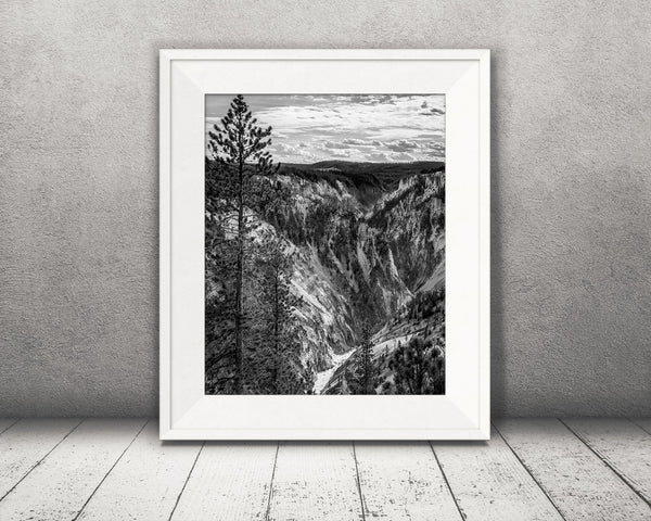 Yellowstone Canyon Photograph Black White