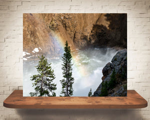 Yellowstone Rainbow Photograph
